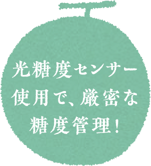 光糖度センサー使用で厳密な糖度管理！