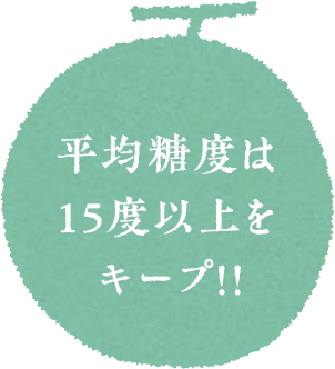 平均糖度は15度以上をキープ！！