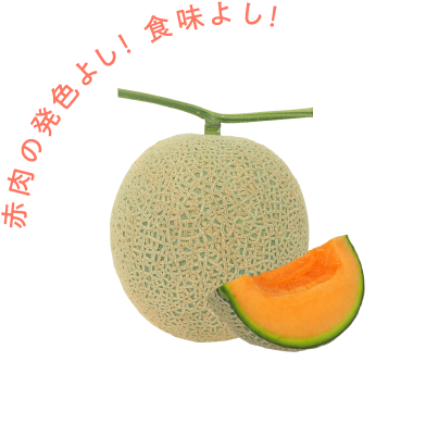 NM-164 赤肉の発色よし！食味よし！贈り物としてよし！