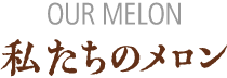 私たちのメロン